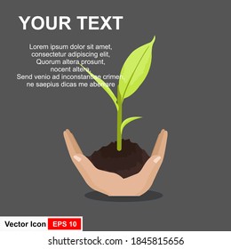 Illustration of human hand holding green small tree. Image for booklets, banners, flayers, article and social media.