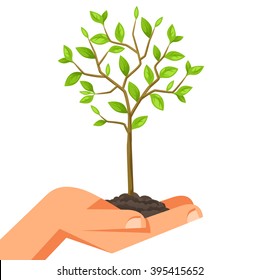 Illustration of human hand holding green small tree. Image for booklets, banners, flayers, article and social media.