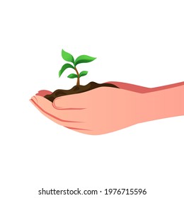 Illustration of human hand holding small green tree vector