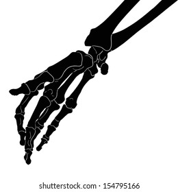 illustration with human hand skeleton isolated on white background