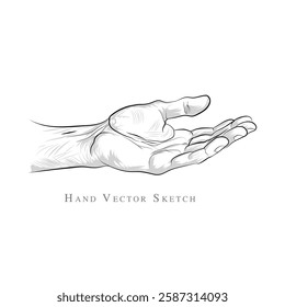 An illustration of Human hand, A vector sketch of Hand, Line drawing of Man body part