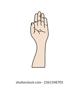 Illustration of human hands, signs and gestures isolated vector on a white background