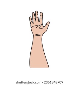 Illustration of human hands, signs and gestures isolated vector on a white background