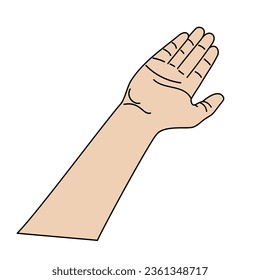 Illustration of human hands, signs and gestures isolated vector on a white background