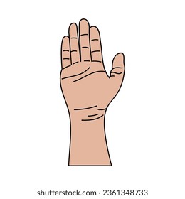 Illustration of human hands, signs and gestures isolated vector on a white background