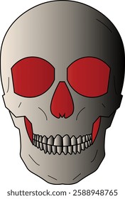 The Illustration of human head skeleton