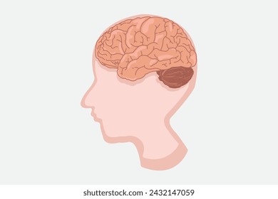 illustration of a human head and volume image of the brain. vector eps 10