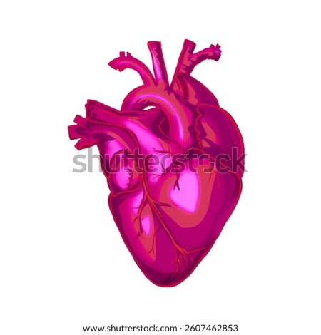 illustration of the human heart organ without background