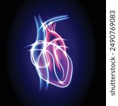 Illustration of a human heart using white curved lines glowing in various colors forming a transparent heart shape on a dark blue background. Used in advertising, medicine, commerce and industry.