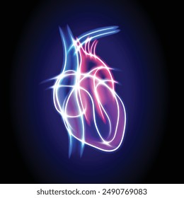 Illustration of a human heart using white curved lines glowing in various colors forming a transparent heart shape on a dark blue background. Used in advertising, medicine, commerce and industry.