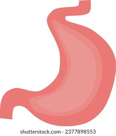illustration of human internal organs