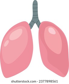 ilustración de órganos internos humanos