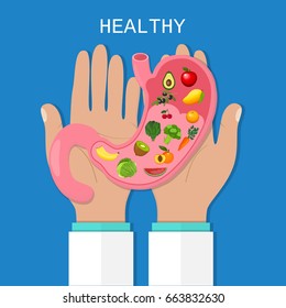 Illustration of Human Internal Stomach Anatomy