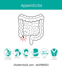 Illustration Of Human Intestine, Outline And Appendicitis Symptom Icons, Appendix, Internal Organs, Body, Physical, Sickness, Anatomy, Health