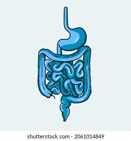 Ilustración de intestinos humanos en un fondo azul. Diseño simple de caricatura del órgano interno del sistema digestivo. Imagen para el estudio de la anatomía.