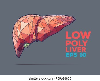 Illustration of human liver with faceted low-poly geometry effect