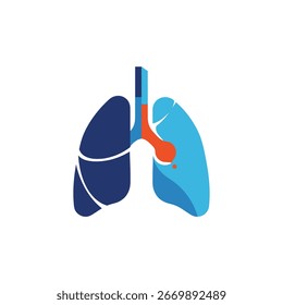 Illustration of human lungs, trachea, and bronchi, depicted in blue and orange colors.