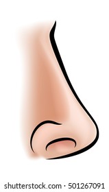 An illustration of a human nose body part