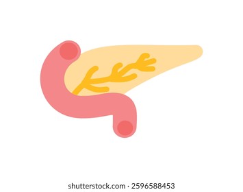 Illustration of an Human Organs Pancreas Icon