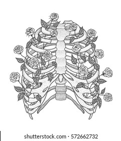 Illustration of human rib cage with roses. Line art style. Boho vector realistic