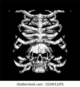 Illustration of human rib cage . vector illustration. Boho . Anatomical, physiology.image description