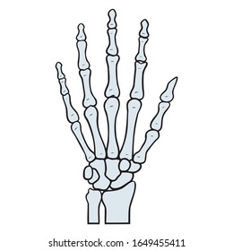 Illustration Of A Human Skeleton Hand In Gray. Isolated, Bone, Halloween, Cartoon, Creepy, Vector.