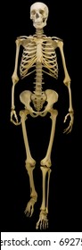 illustration with human skeleton isolated on black background