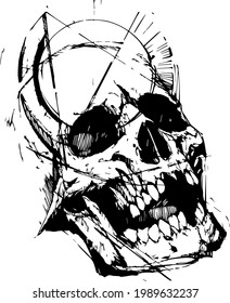 illustration of a human skull