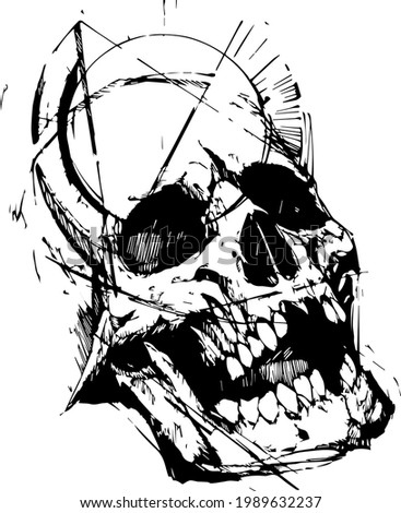 illustration of a human skull
