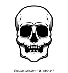 illustration of human skull isolated on white background. Design element for logo, label, badge, sign. Vector illustration
