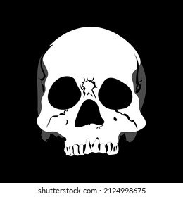 illustration of a human skull on a black background