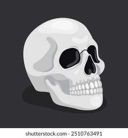 Illustration of a human skull on a dark background. Element for Halloween or Day of the Dead. Vector illustration isolated on black.