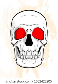 illustration of a human skull on a textured background