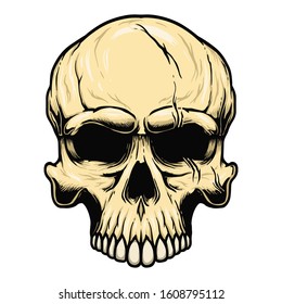 Illustration of human skull in vintage style. Design element for logo, label, sign, emblem, poster. Vector illustration