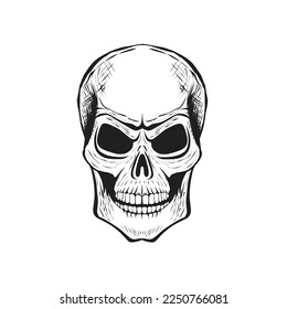 illustration of a human skull without a body