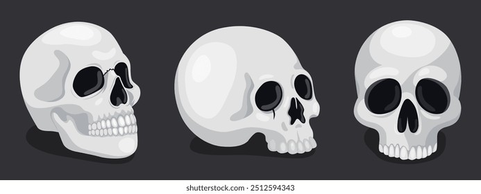 Illustration of a human skulls on a dark background. Element for Halloween or Day of the Dead. Vector illustration isolated on black.