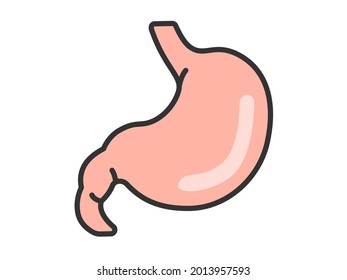 Illustration of the human stomach.