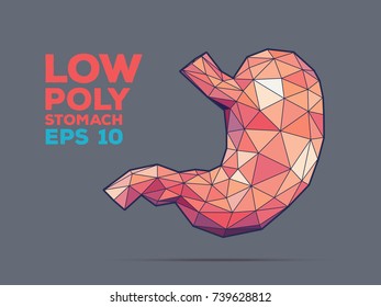 Illustration of human stomach with faceted low-poly geometry effect