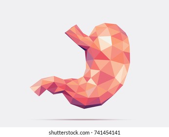 Illustration of human stomach with faceted low-poly geometry effect