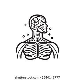 Ilustración de la anatomía de la parte superior del cuerpo humano que destaca el cerebro, la columna vertebral y la caja torácica.