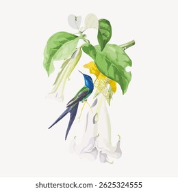 Illustration of a hummingbird perched on a trumpet flower. The hummingbird features vibrant colors. The trumpet flower is large and detailed with green leaves. Vintage bird illustration vector.
