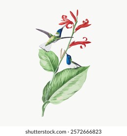 Illustration of hummingbirds and flowers. Hummingbirds in flight, vibrant flowers, green leaves. Nature scene with hummingbirds and colorful flowers. Vintage animal illustration, vector isolated.