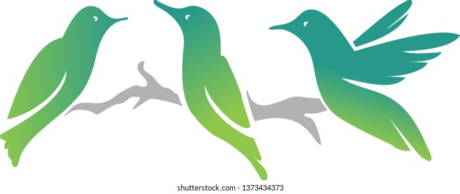 illustration of hummingbirds on a branch