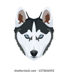 Illustration Husky | For all Dog owners. What you love about his dog? Puppy dog ​​eyes, wagging tail, smiling, barking. The Husky is a man's best friend.
