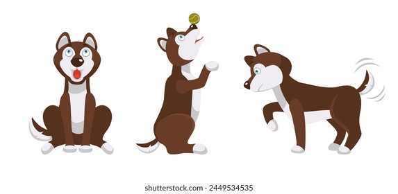 Illustration of husky dogs in different activities, vectorized, perfect for pet-related design, isolated.