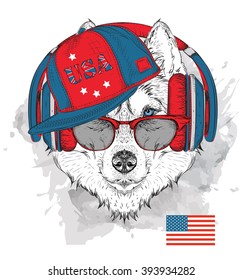 Illustration of husky in the glasses, headphones and in hip-hop hat with print of USA. Vector illustration.