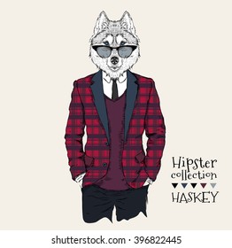 Illustration of husky hipster dressed up in jacket, pants and sweater. Vector illustration