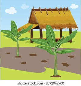 illustration of a hut in the field There are banana trees in the sky background.