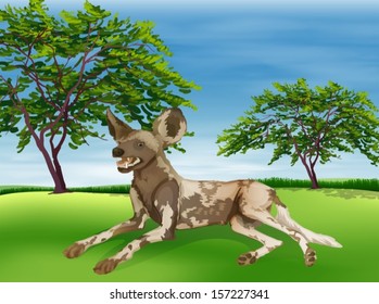 Illustration of a hyaena