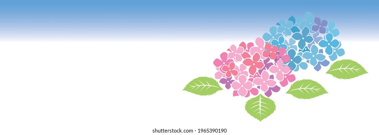 初夏の花 のイラスト素材 画像 ベクター画像 Shutterstock